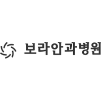 보라안과병원 로고