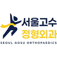 서울고수정형외과의원 로고